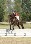 Enlarge photo 13