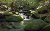 Enlarge photo 34