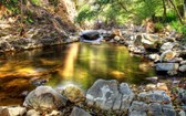 Enlarge photo 25