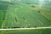 Enlarge photo 35