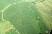 Enlarge photo 37