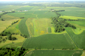 Enlarge photo 40