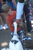 Enlarge photo 33