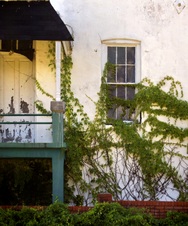 Enlarge photo 10