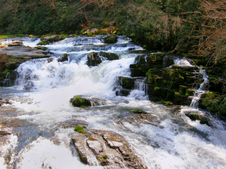 Enlarge photo 14