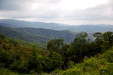 Enlarge photo 47