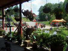 Enlarge photo 33