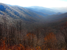 Enlarge photo 16