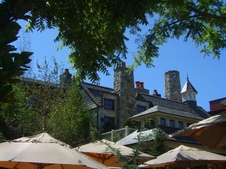 Enlarge photo 41