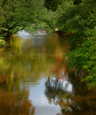 Enlarge photo 78