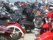 Enlarge photo 71