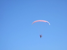 Enlarge photo 75