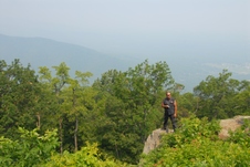 Enlarge photo 47