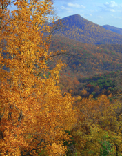 Enlarge photo 32