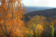 Enlarge photo 31