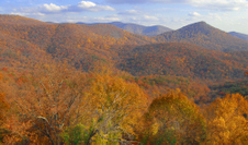 Enlarge photo 30