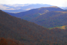 Enlarge photo 22