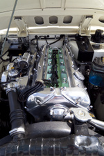 Enlarge photo 15