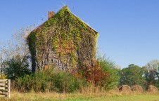 Enlarge photo 2