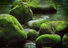 Enlarge photo 2