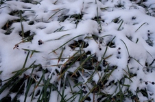 Enlarge photo 57