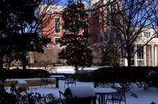 Enlarge photo 59