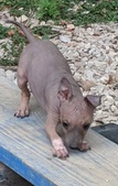 Enlarge photo 4