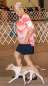 Enlarge photo 6