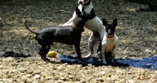 Enlarge photo 7
