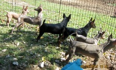 Enlarge photo 2