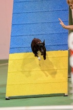 Enlarge photo 13
