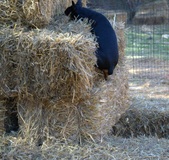 Enlarge photo 17