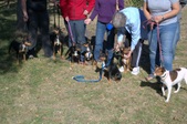 Enlarge photo 2