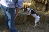 Enlarge photo 24