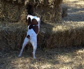 Enlarge photo 23