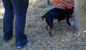 Enlarge photo 8