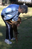 Enlarge photo 15