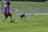 Enlarge photo 2