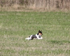 Enlarge photo 17