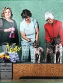 Enlarge photo 17