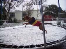 SNOW -- JANUARY 17, 2007