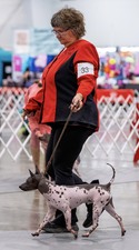 Crowley