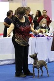 Enlarge photo 12