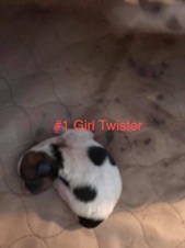 Enlarge photo 6