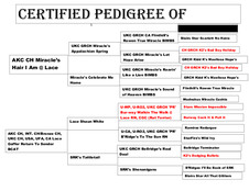 Enlarge PDF 11