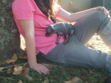 Enlarge photo 4