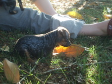 Enlarge photo 9