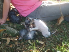 Enlarge photo 12