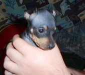 Enlarge photo 12