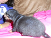 Enlarge photo 23